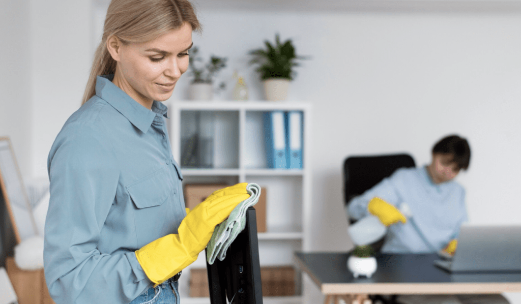 house cleaning business consulting training 